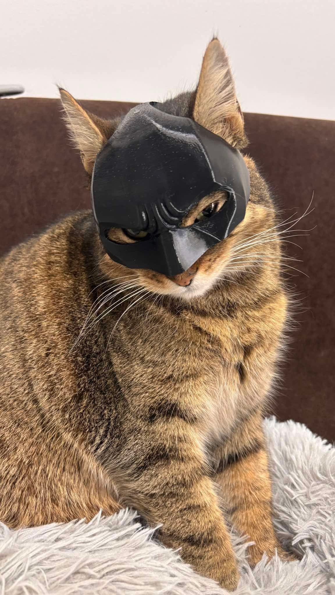 BATMAN MASZK CICÁKNAK